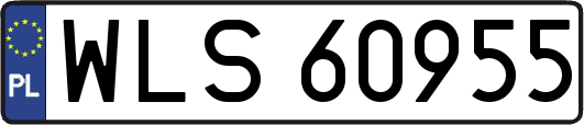 WLS60955
