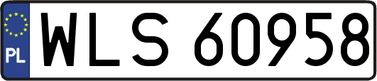 WLS60958