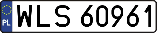 WLS60961