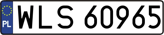 WLS60965