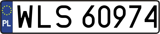 WLS60974