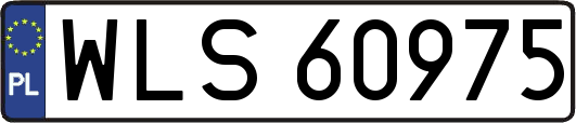 WLS60975