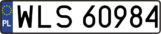 WLS60984