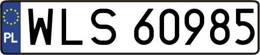 WLS60985