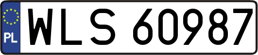 WLS60987