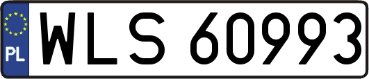WLS60993