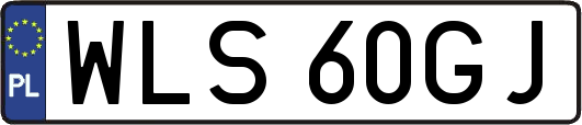 WLS60GJ