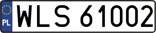 WLS61002