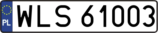 WLS61003