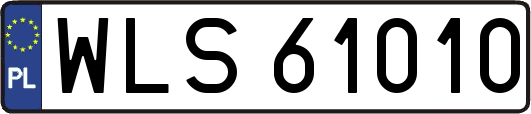 WLS61010
