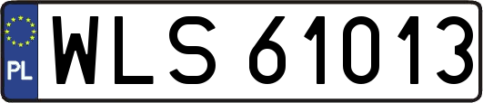 WLS61013