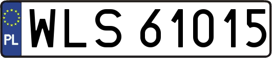 WLS61015