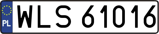 WLS61016