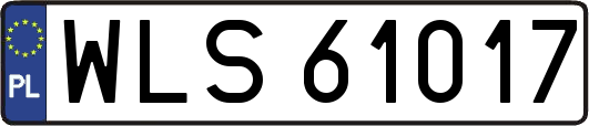 WLS61017
