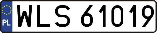 WLS61019