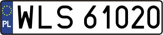 WLS61020