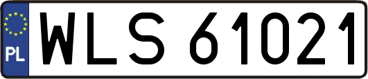 WLS61021