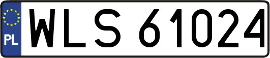 WLS61024