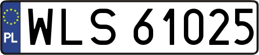 WLS61025