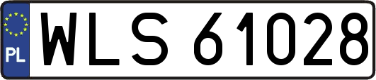 WLS61028