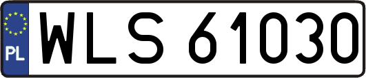WLS61030