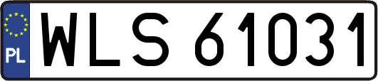 WLS61031