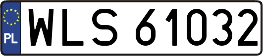 WLS61032