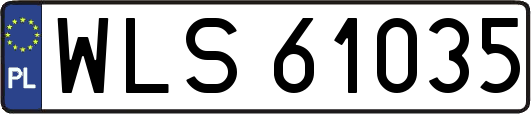 WLS61035