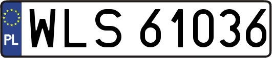 WLS61036