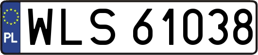 WLS61038