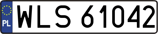 WLS61042
