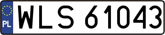 WLS61043