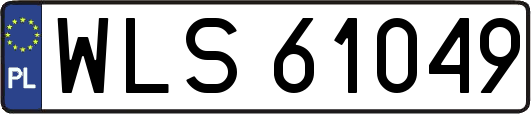 WLS61049