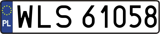 WLS61058