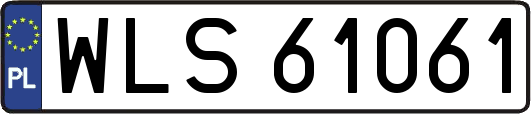 WLS61061