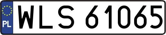 WLS61065