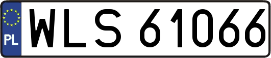 WLS61066