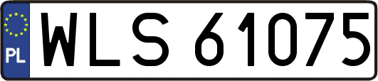 WLS61075