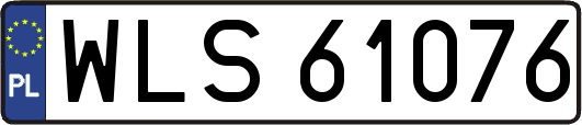 WLS61076
