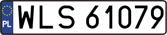 WLS61079