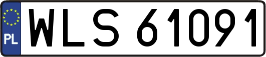WLS61091