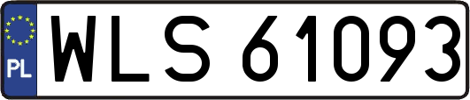 WLS61093