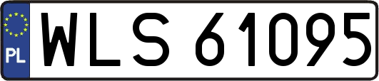 WLS61095
