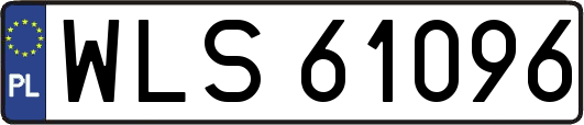 WLS61096