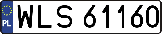 WLS61160