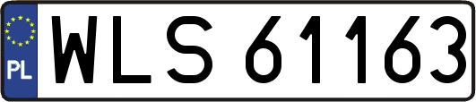 WLS61163