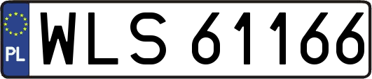 WLS61166