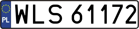 WLS61172