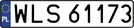 WLS61173