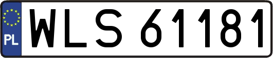 WLS61181